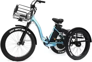 Электровелосипед GreenCamel Trike-F R26FAT (1000W 48V 20.3Ah) фото