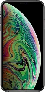 Apple iPhone Xs Max 256Gb Space Gray фото