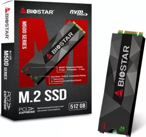 Жесткий диск SSD Biostar M500 (M500-512GB) 512Gb фото