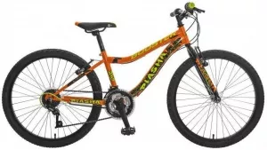 Велосипед Booster Plasma 240 (оранжевый) фото