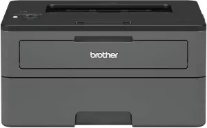 Лазерный принтер Brother HL-L2371DN фото