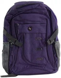 Городской рюкзак Envy Street (фиолетовый) фото