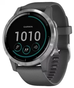 Умные часы Garmin Vivoactive 4 (серый/серебристый) фото