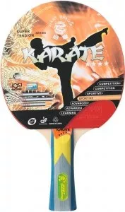 Ракетка для настольного тенниса Giant Dragon Karate ST12401 фото