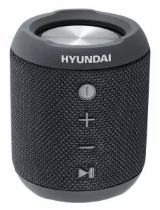 Портативная акустика Hyundai H-PAC300 фото