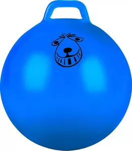 Гимнастический мяч Indigo IN093 65 см (голубой) фото