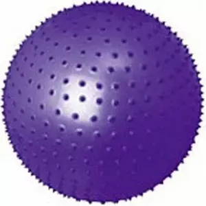 Фитбол Motion Partner MP570 (65см) Purple фото