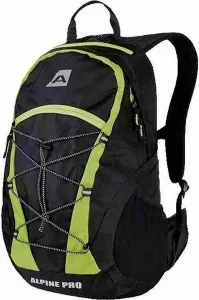 Рюкзак для ноутбука Alpine Pro Bleik фото