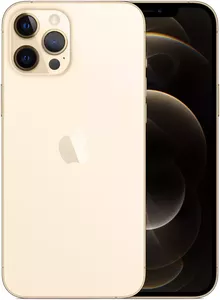 Apple iPhone 12 Pro 256GB Восстановленный by Breezy, грейд C (золотистый) фото