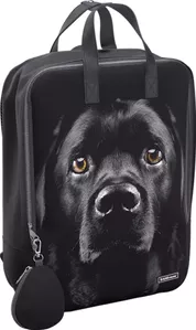 Городской рюкзак Erich Krause StreetLine 16L Black Dog 60343 фото