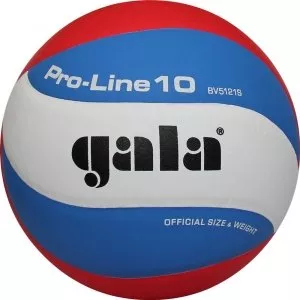 Мяч волейбольный GALA Pro Line 10 (BV5121S) фото