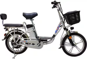 Электровелосипед GreenCamel Trunk R18 (250W 60V 10Ah) Alum фото