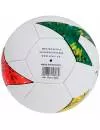 Мяч футбольный Alvic Pro-JR 5 (AVFLE0008) фото 2