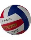 Мяч волейбольный Atemi Fame фото 2