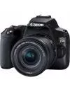 Фотоаппарат Canon EOS 250D Kit 18-55mm IS STM (черный) фото 2