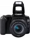 Фотоаппарат Canon EOS 250D Kit 18-55mm IS STM (черный) фото 3