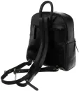 Рюкзак Cedar Rovicky 430-CCVT (черный) фото 3