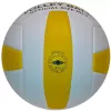 Волейбольный мяч Fora VL5818 фото 3