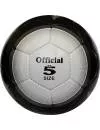 Мяч футбольный GALA Argentina (BF5003S) фото 3