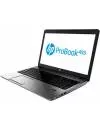 Ноутбук HP ProBook 455 G1 (F0Y19ES) фото 3