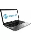 Ноутбук HP ProBook 455 G1 (F7Y69ES) фото 2
