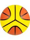 Мяч баскетбольный Mikasa BR712 фото 2