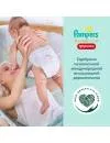 Трусики Pampers Premium Care Pants 4 Maxi (22 шт) фото 3