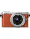 Фотоаппарат Panasonic Lumix DMC-GM1 Kit 12-32 mm фото 5