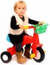 Велосипед детский Полесье Малыш (46192) фото 2