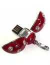USB-флэш накопитель Qumo Charm Series Ladybird 8Gb (QM8GUD-Charm-LD-R) фото 2