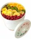 Сушилка для овощей и фруктов Renova DVN31-500/5 фото 3