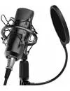 Проводной микрофон Ritmix RDM-175 фото 5