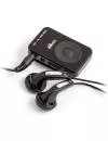 MP3 плеер Ritmix RF-2900 8Gb фото 3
