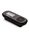 MP3 плеер Ritmix RF-3400 16Gb фото 4
