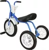 Детский велосипед Самокатыч Зубренок (голубой) фото 2