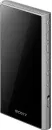 Hi-Fi плеер Sony NW-A306 (серый) фото 3