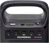 Беспроводная колонка Soundmax SM-PS5010B фото 3
