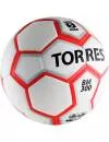 Мяч футбольный TORRES BM300 F30095 фото 2