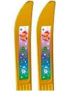 Лыжи беговые Цикл Олимпик-Спорт Мишки с палками 66/75 см фото 2