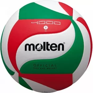 Мяч волейбольный Molten V5M4000 фото