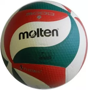 Мяч волейбольный Molten VLPU001 фото