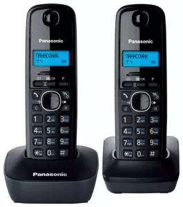 Радиотелефон Panasonic KX-TG1612RUH фото