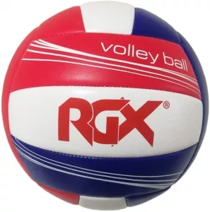 Мяч волейбольный RGX RGX-VB-1802 фото