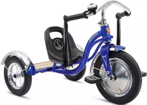 Детский велосипед Schwinn Roadster Trike S6728 (синий) фото