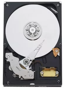 Жесткий диск Western Digital WD800BB 80 Gb фото