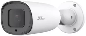 IP-камера ZKTeco BL-854N38A-E3 фото