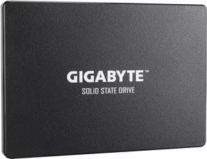 Жесткий диск SSD Gigabyte GP-GSTFS31100TNTD 1000Gb фото