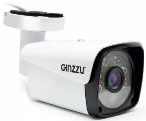 IP-камера Ginzzu HIB-2301A фото