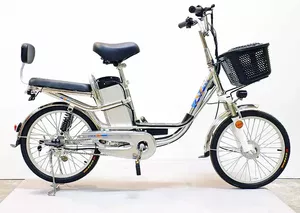 Электровелосипед GreenCamel Trunk-2 R20 (350W 48V 10Ah) Alum 2-х подвес фото