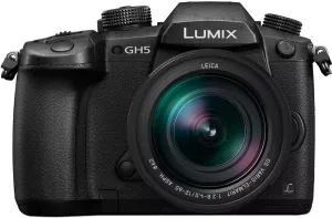 Фотоаппарат Panasonic Lumix DC-GH5 Kit 12-60mm f/2.8-4.0 фото